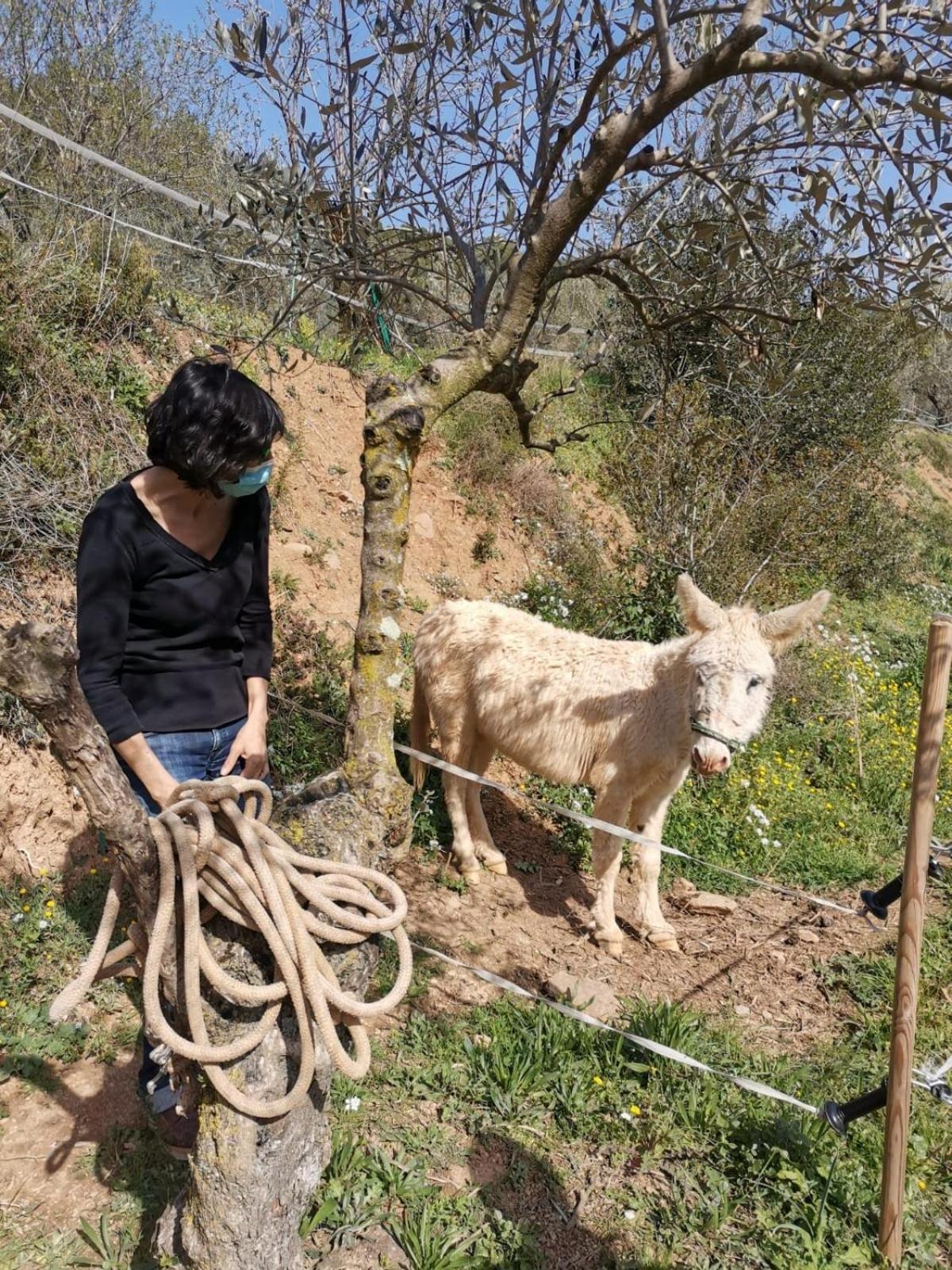 Masia Can Sunyer Agroturismo La Garriga Exterior photo